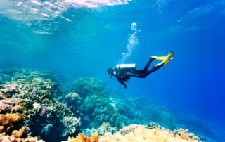 Photo of a Turks and Caicos Diving Expedition