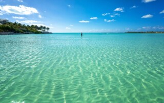 Taylor Bay Beach